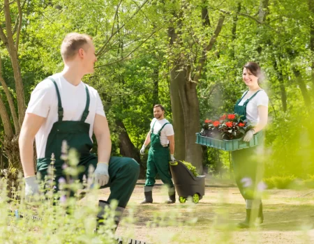 gartenbau-galagartenpflege grünpflege rastatt wazir gebäudereinigung gartenbau-galagartenpflege grünpflege rastatt wazir gebäudereinigung